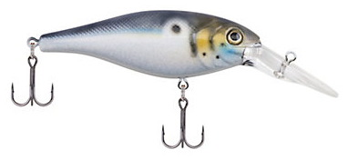 Bad Shad