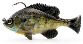 Pulse Tail Bluegill RTF
