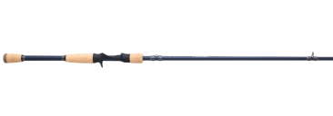 President XT Casting Rods